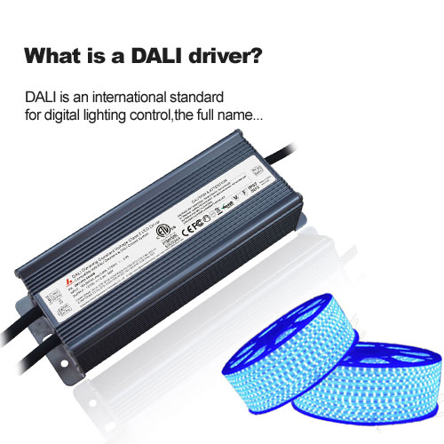 ¿Qué es un controlador DALI?